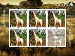 Russia. Peterspost. Fauna. Wild life. "Memorable facts", White giraffe (Kenia), "Absolute loneliness", sheetlet of 5 stamps and label