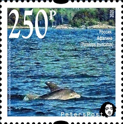 Russia. Peterspost. Fauna. Wild life. "Memorable facts", Bottlenose dolphin (Finnish gulf, Baltic sea), stamp