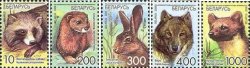 Belorussia Belarus 2008 Definitives fauna forest mammals silk paper set of 5 stamps MNH