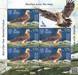 Kyrgyzstan 2021 Bird of the Year The Bearded Vulture sheetlet of 5 stamps with label MNH
