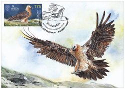 Kyrgyzstan 2021 Bird of the Year The Bearded Vulture Maxicard