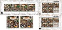 Russia and Finland 2021 Parasol mushroom a delicacy of gastronomy Peterspost joint issue large full complete of 2 stamps block and sheetlets mint