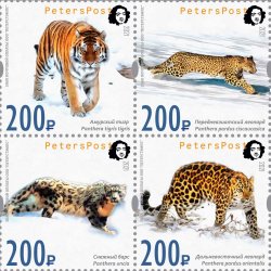 Russia 2021 60 ann of WWF 1961-2021 Wild cats rescued in Russia thanks to WWF Peterspost q-block of 4 stamps MNH