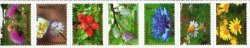 Turkmenistan 2020 Definitives flowers berries butterfly set of 7 stamps in strip MNH