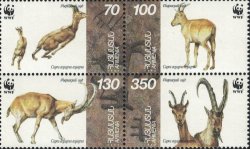 Armenia 1996 WWF Bezoar mountain goat Capra aegagrus aegagrus block 2x2 of 4 stamps mint