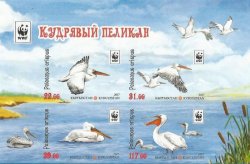 Kyrgyzstan 2017 WWF Pelecanus erispus IMPERFORATED limited edition block of 4 stamps