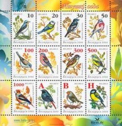 Belorussia Belarus 2006 Definitives birds from gardens sheetlet block of 12 stamps MNH