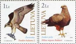 Lithuania Litauen 2000 Nature Rare birds of prey from the Red book set of 2 stamps MNH
