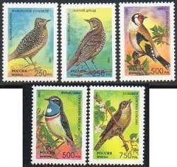 Russia 1995 Song birds Set of 5 stamps MNH