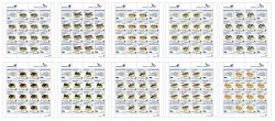 Estonia 2022 Definitives Honey insects BeePost Set of 10 sheetlets of 12 stamps and 4 labels each MNH