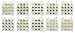 Finland 2022 Honey insects Definitives BeePost Set of 10 sheetlets of 12 stamps and labels each MNH