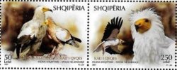 Albania 2022 Albanian biodiversity Birds Egyptian Vulture Neophron percnopterus set of 2 stamps in strip mint