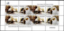 Albania 2022 Albanian biodiversity Birds Egyptian Vulture Neophron percnopterus sheetlet mint